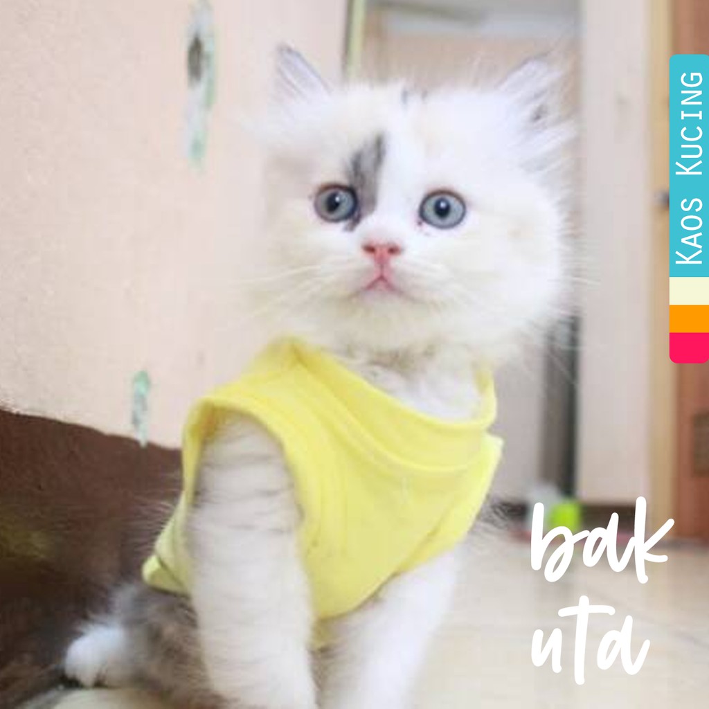 Kaos kuning lucu banget untuk kucing dan anjing size S M L XL (choose one)