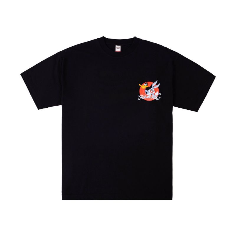 SHINING BRIGHT ART LOONEY TONES ALL FOLKS