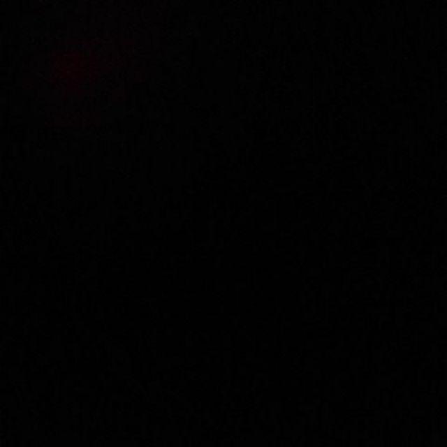 Bunga Citrosa Pengusir Nyamuk