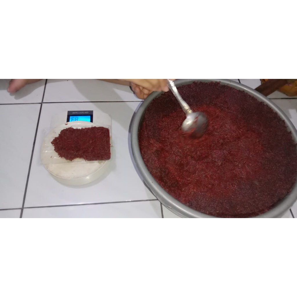 Cacing Beku (CABEK) 100% KERING TANPA AIR 1 kg
