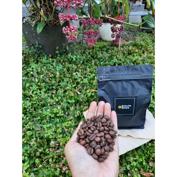 

Kopi robusta