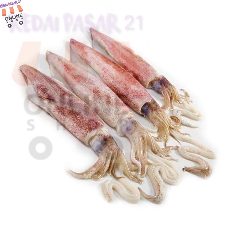

Kedai pasar21 Grosir 500 gram Cumi Basah Segar Murah
