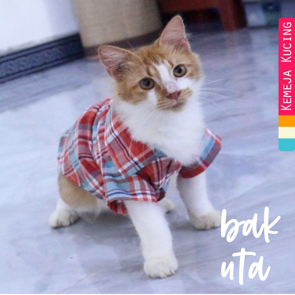 Kemeja Kotak-Kotak untuk kucing &amp; anjing /Jual Baju Kucing Terlengkap &amp; Berkualitas size S-XL