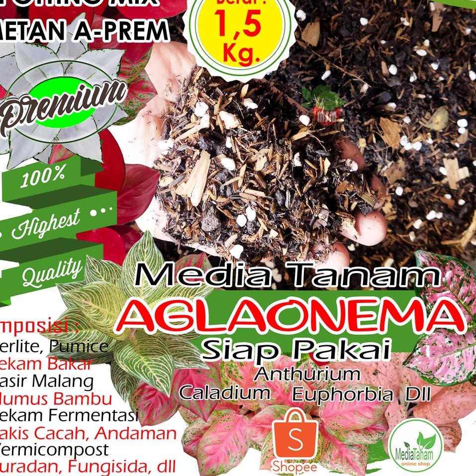 Hot Sale Media Tanam Aglonema 1.5 Kg Mix Premium Siap Pakai Tanaman Hias Potting Mix