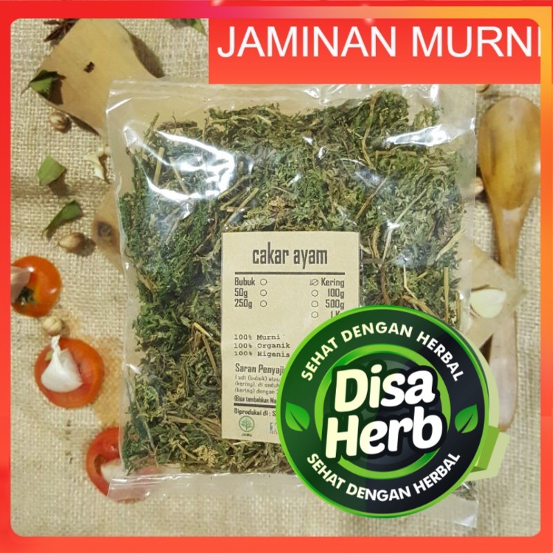 

CAKAR AYAM KERING 100 GRAM - Selaginella doederleinii - MURNI - JSR - REMPAH - PREMIUM QUALITY