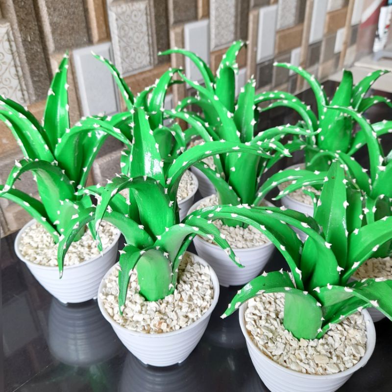 Kaktus Lidah Buaya Tanaman Hias Kaktus Plastik