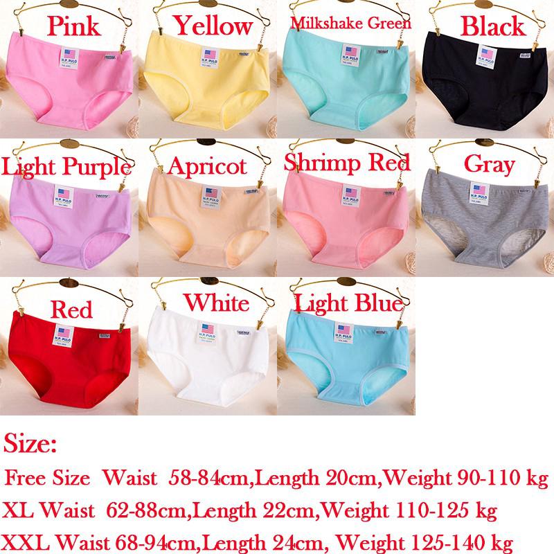  Celana  Dalam  Brief Simple Bahan Katun  Warna Permen Polos 