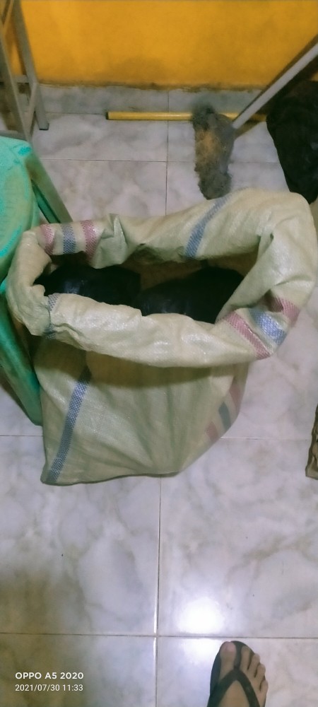 Guling Gisell Queen Guling Hotel Silicon/ Silikon Besar Empuk Type Royal Kings Termurah Bisa Cod