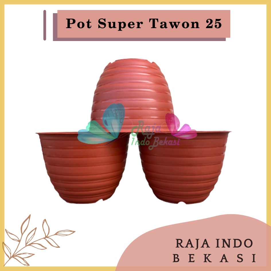 Pot Super Tawon 25 Merah BataTerracota Terracotta Merah Coklat Garden Of Love Pot Tawon Putih Tirus Pot Tawon Pirus 18 20 21 25 27 - Pot Tawon 25