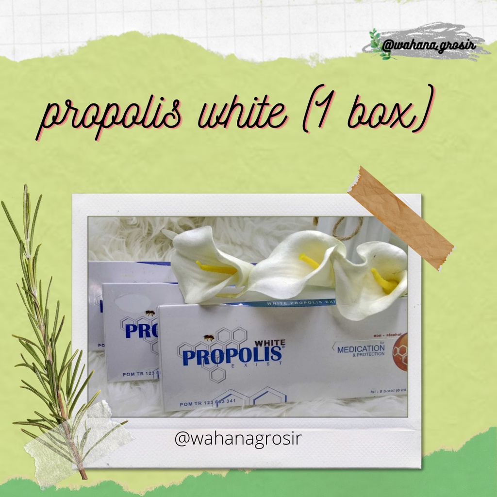propolis putih  white propolis exist menjaga kekebalan tubuh