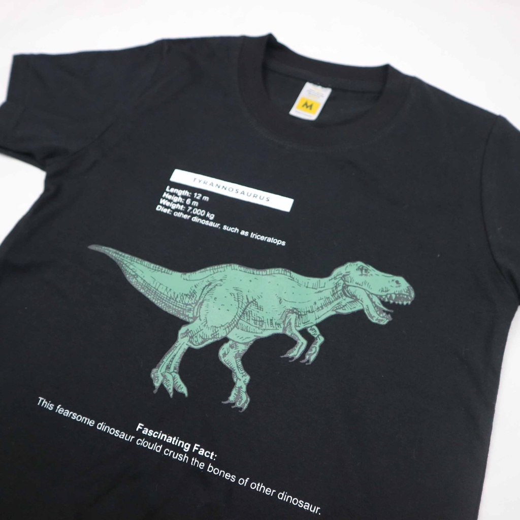 KAOS ANAK DINO FACTS SERIES 1 - 10 T