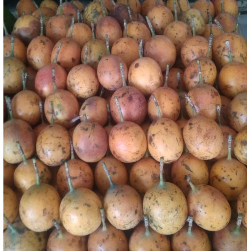 

MARKISA , Buah Markisa lokal