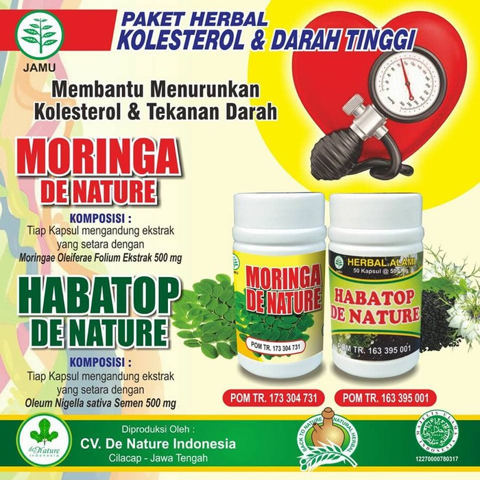 Obat Herbal Darah Tinggi Ziirzak Ganoluci Manjur Alami