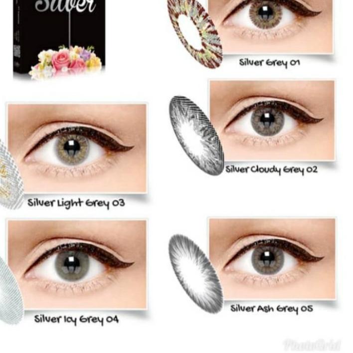 Softlens/ Softlen/ Soflens/ Soflen Ice Silver no1 no2 no3 no4 no5