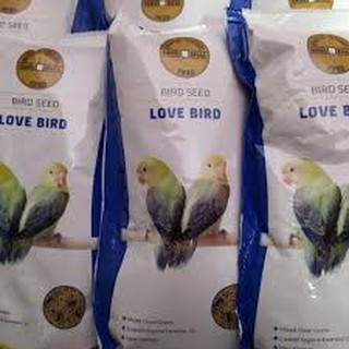 Harga Gold Coin Lovebird Terbaik Agustus 2021 Shopee Indonesia