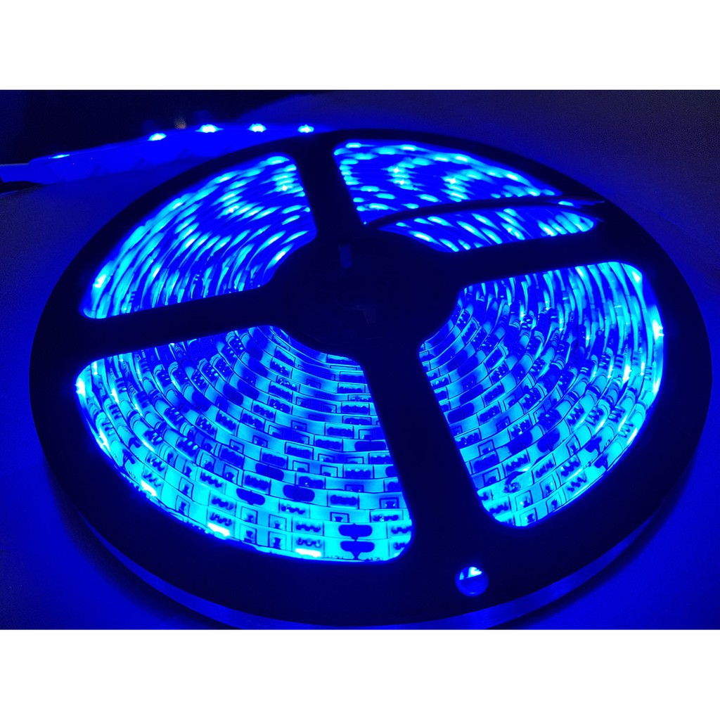 24V DC cahaya BIRU Flex Led Strip 5050 SMD waterproof 5 meter