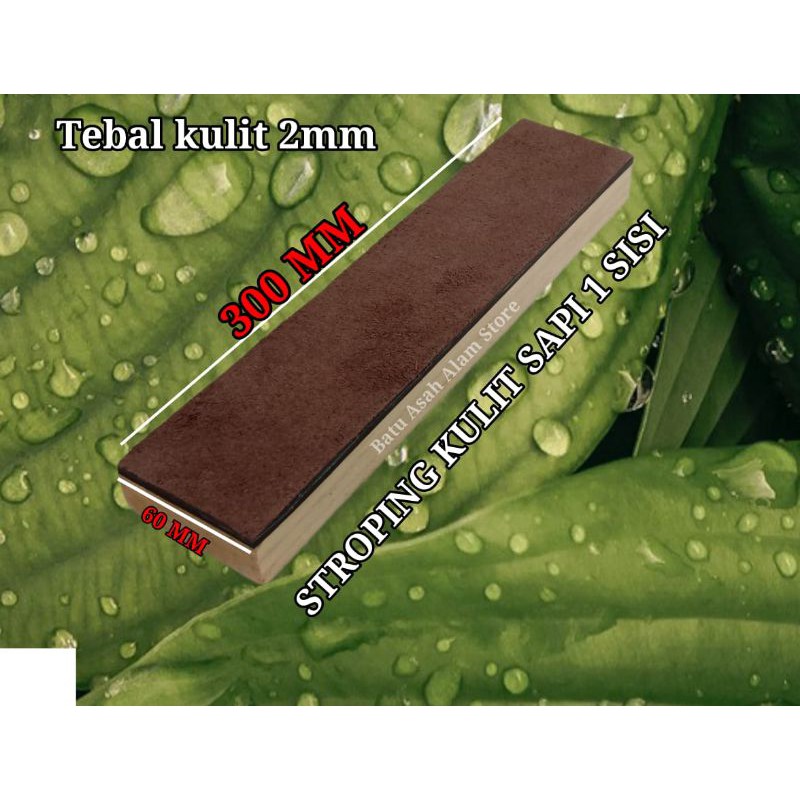 Stroping kulit sapi Asli