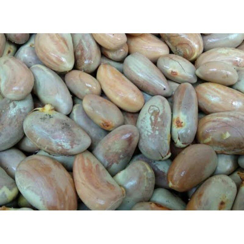 

biji nangka fresh