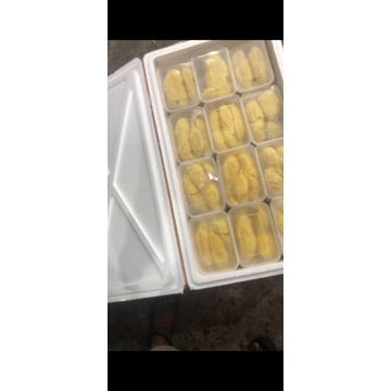 

Durian Kupas Asli Sibolga