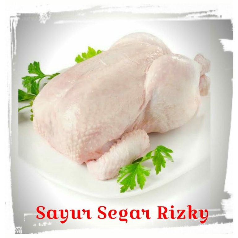 

[AYAM SEGAR NAIK] Ayam Karkas Segar