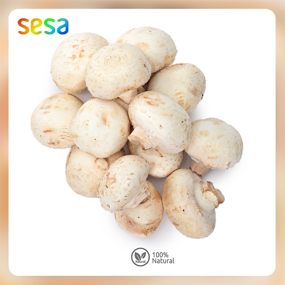 Jamur Champignon Natural 250 g