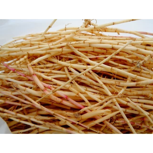 

akar alang alang segar 1 kg super bersih dan kena sortir