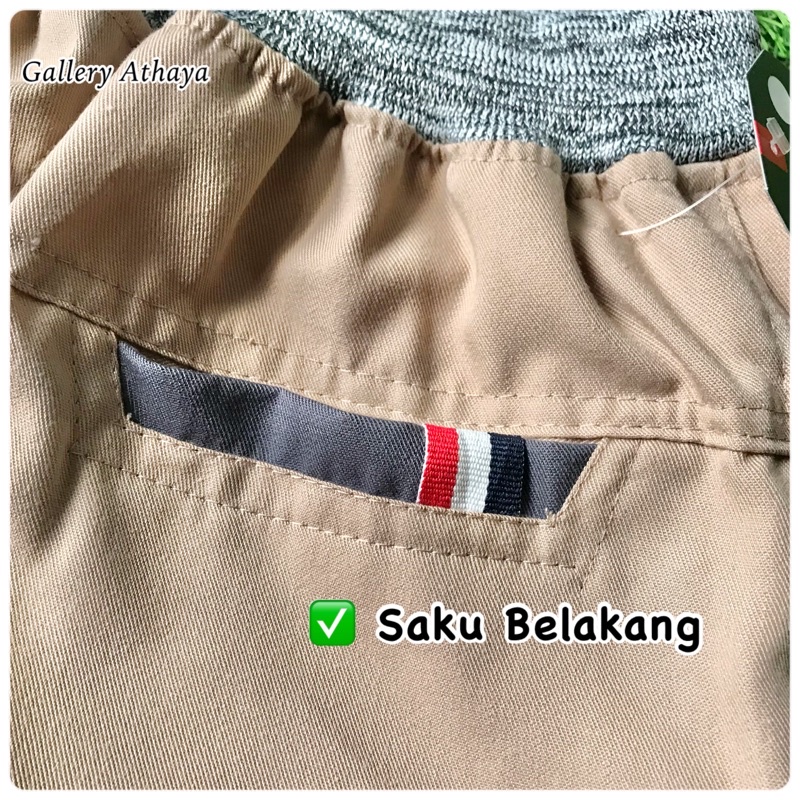 TERMURAH !! (BISA COD) Celana Pendek Chinos Chino Rip Surfing Santai Pria Cowok Dewasa, Bawahan Pinggang Karet