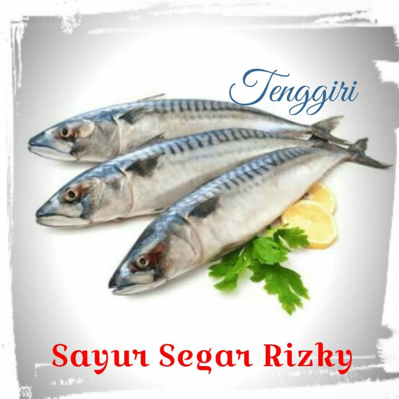 

Tenggiri Segar 1kg