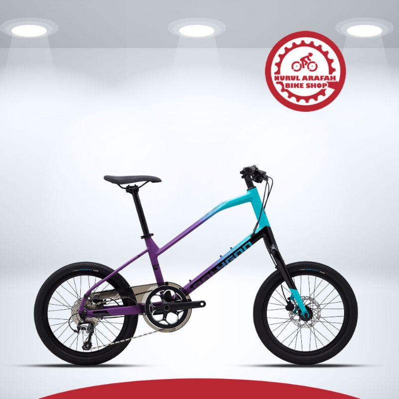 Sepeda Minivelo Polygon Zeta  Ready stock