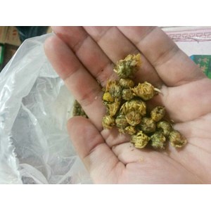 

Bunga Matahari Kering / Chrysanthemum Untuk Diseduh Premium Quality