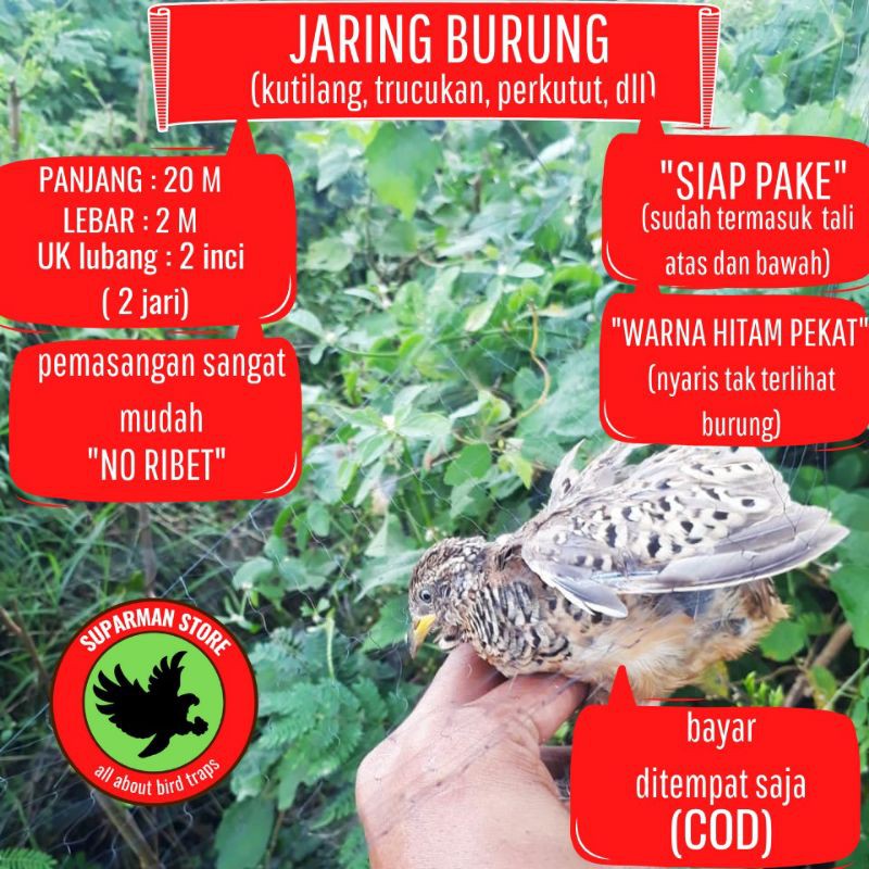Jual JARING BURUNG PUYUH JARING MANUK PUYUH JARING PUYUH JARING PUYOH ...