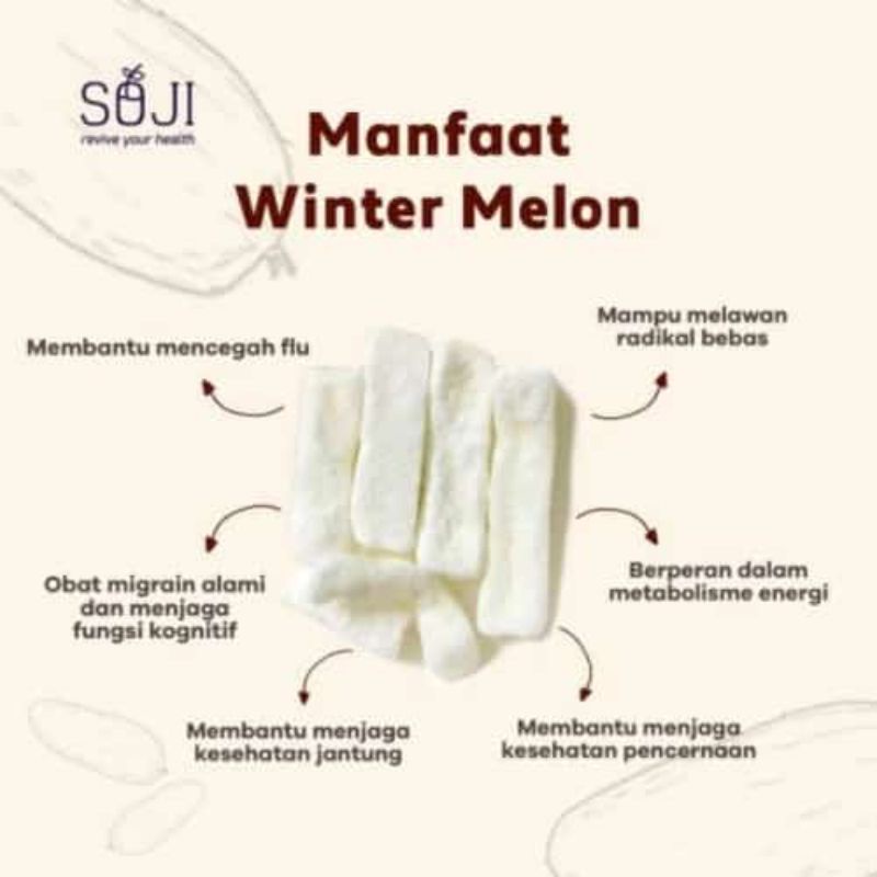 

buah kundur/winter melon