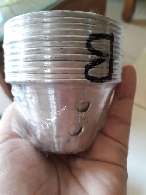 Cetakan Kue Bolu Kukus B Bahan Alumunium Isi 1 Lusin