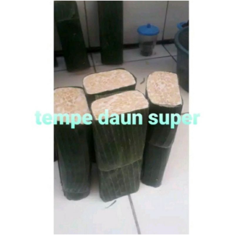 

tempe daun super/1biji