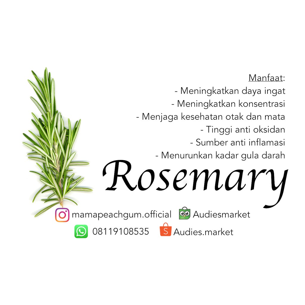 ROSEMARY TEA