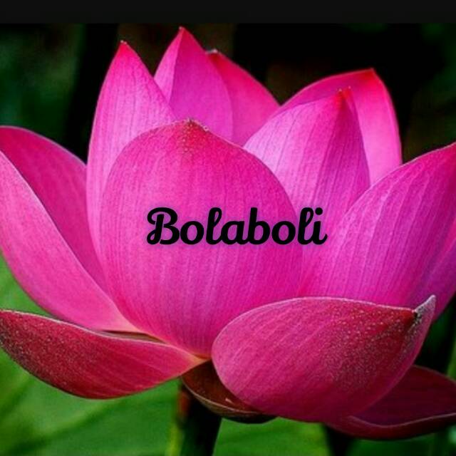 bolaboli