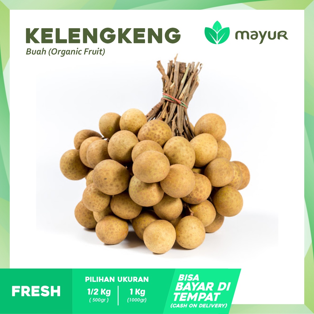 

Kelengkeng Bangkok ( 1/2kg | 1kg )