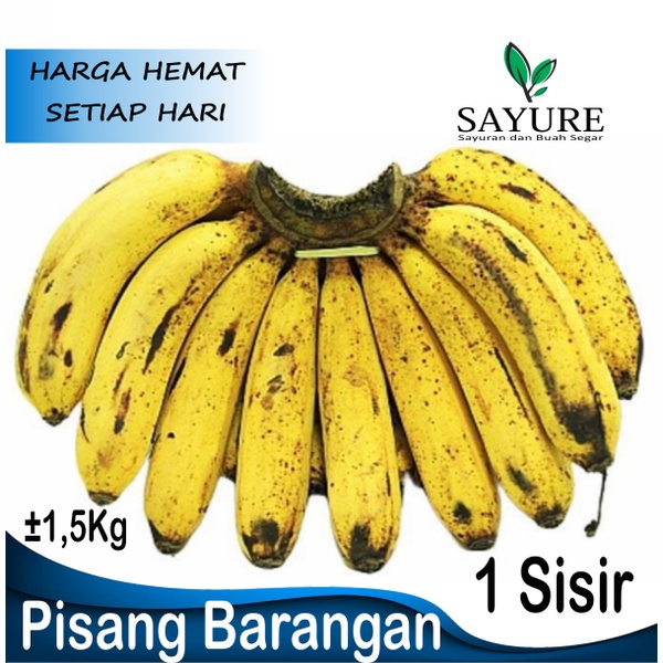 

PISANG BARANGAN 1 SISIR