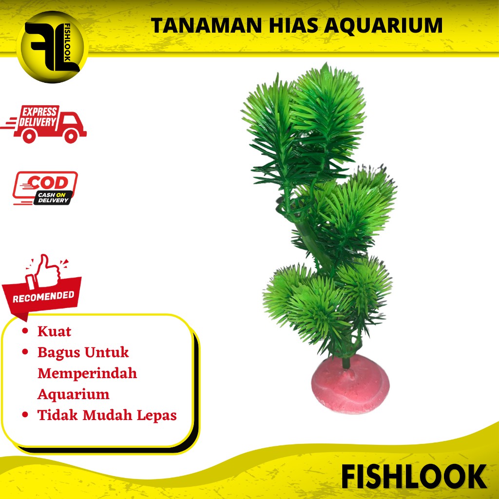 Tanaman Hias Hiasan Aquascape Aquarium