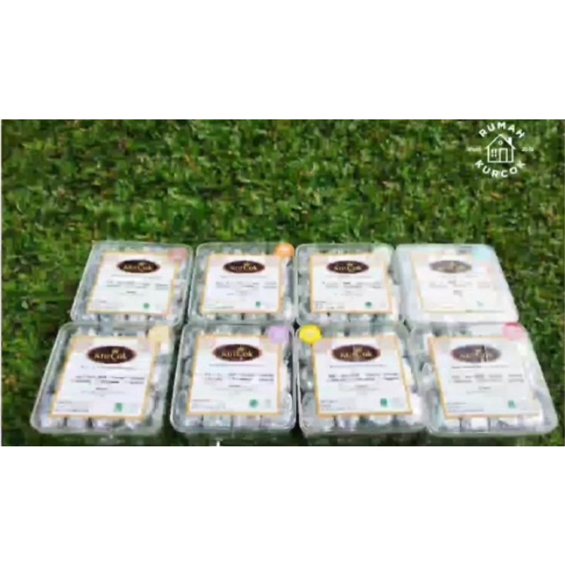 

Kurma Coklat Rumah Kurcok Toples Varian 1 Rasa