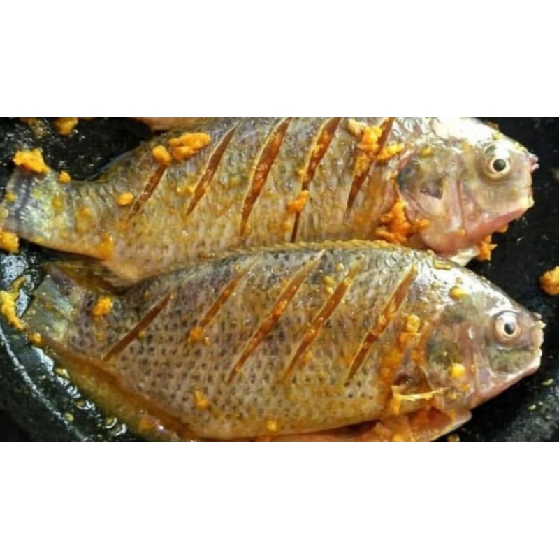 

Gurame ungkep sekilo isi 2 ekor dipotong sedang sekitar 10 potong