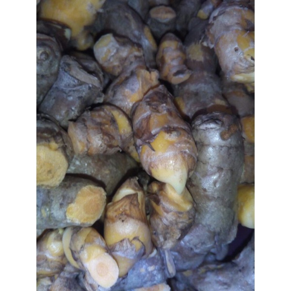 

TEMULAWAK 500GRAM SUDAH DICUCI