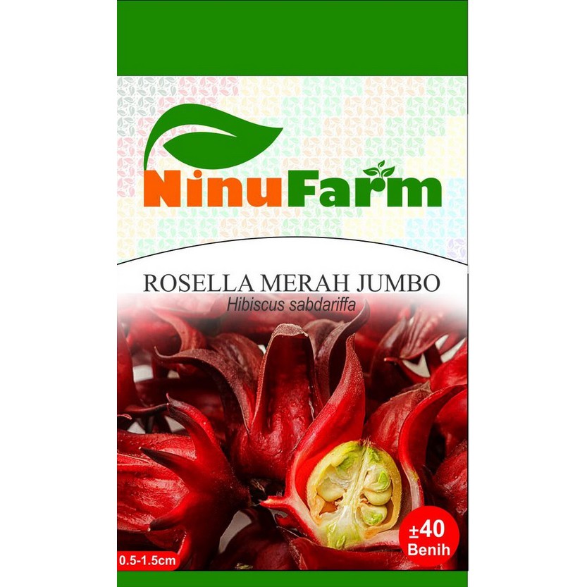 Jual Benih Bibit Bunga Rosella Merah Jumbo Ninufarm (40 Butir) | Shopee ...