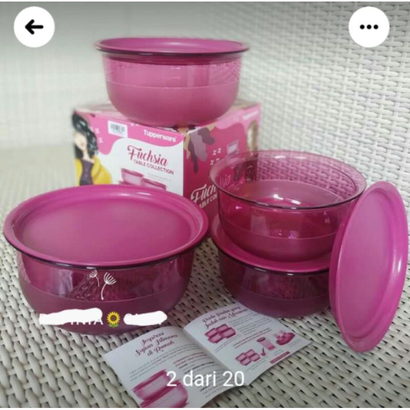 Fuchsia Table Collection Set (4)