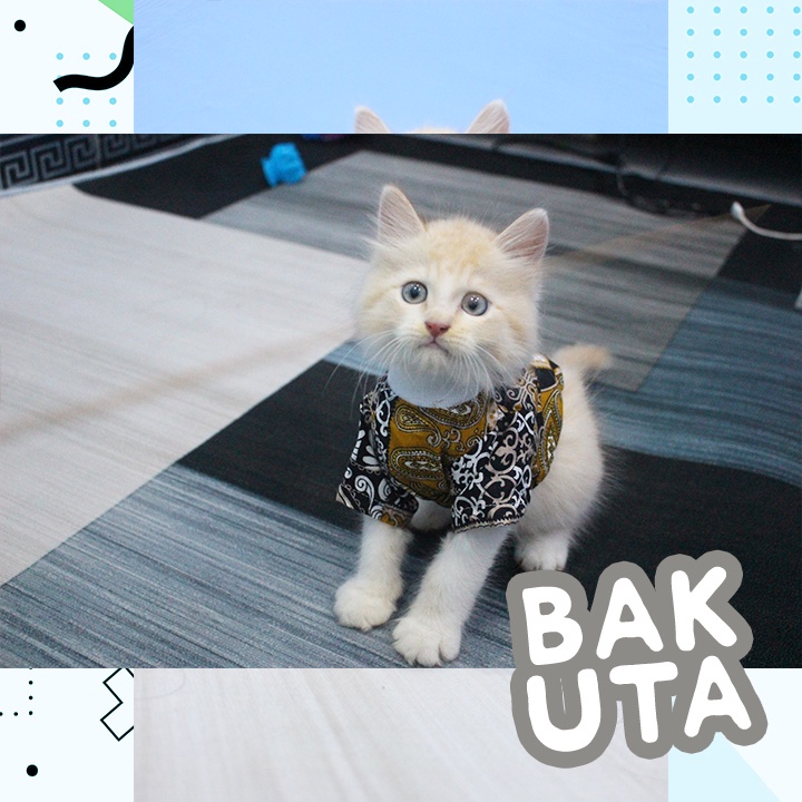 Kaos Lengan Panjang Motif Batik / Baju Kucing tangerang murah / baju kucing lucu size S-XL