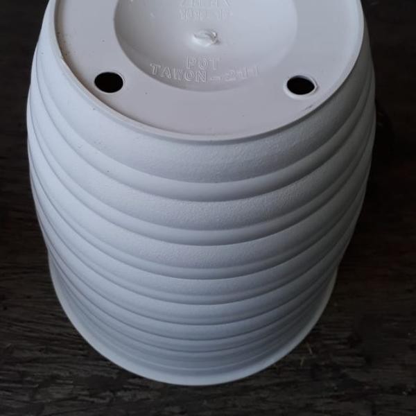☞ pot tawon 211 putih, pot tawon asli tinggi, pot tirus ◘