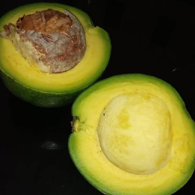 

ALPUKAT MENTEGA 2 KG