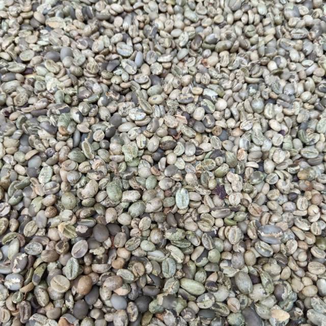 

Kopi mentah Rapika