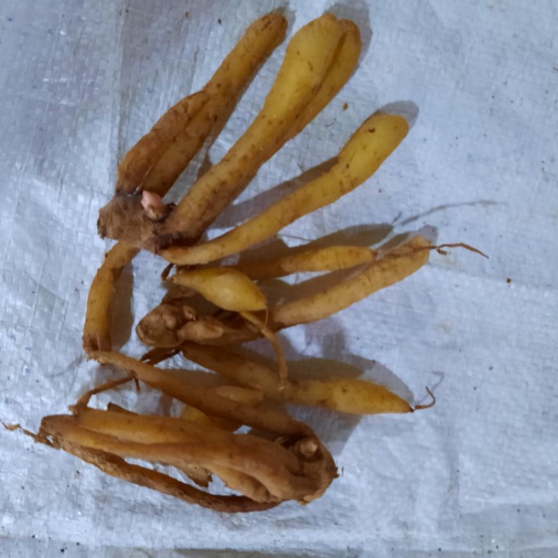 

Temukunci 250g