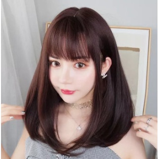 Rambut Wig Panjang Lurus Poni Korea - Wig Wanita Import